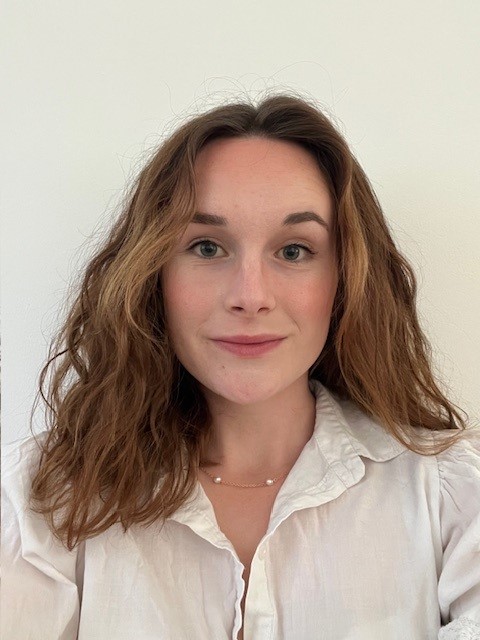 Promoting mental wellbeing through the four key skills of project leadership 