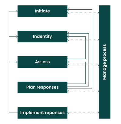 The risk management process
