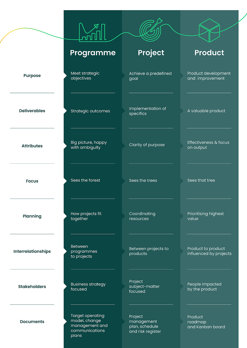 difference between programmes, projects and products infographic