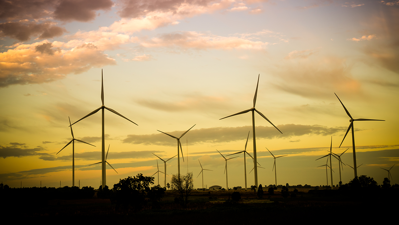 Wind turbine farm